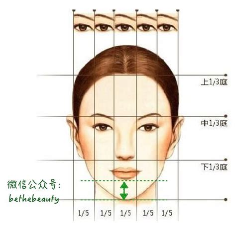 面相 上庭 中庭 下庭|面部三庭：是指那三庭？有什么意义？面部三庭代表着哪个年龄。